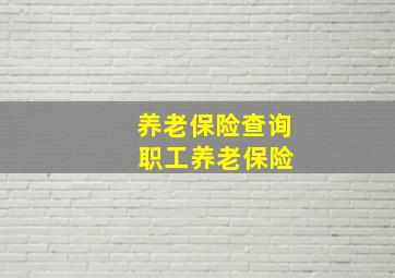 养老保险查询 职工养老保险